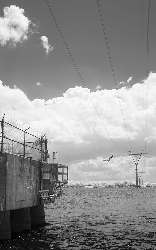 Infrared photo of power poles in the Potomac River at Quantico, with flying osprey and fish.